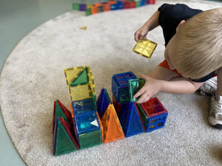 kober griffioen opvang